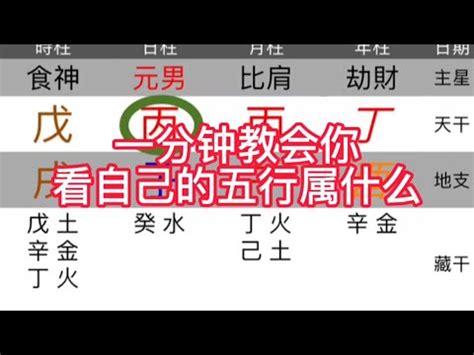 命格多水|免費生辰八字五行屬性查詢、算命、分析命盤喜用神、喜忌